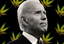 Joe Biden (marijuana) - Getty