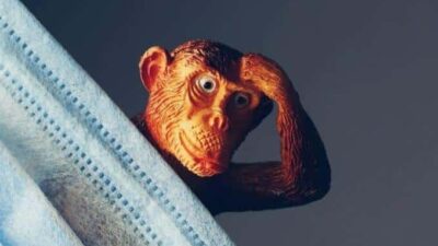 Monkey (via Zenger)