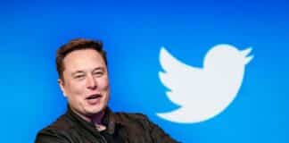 Elon Musk - Twitter bird (Getty)