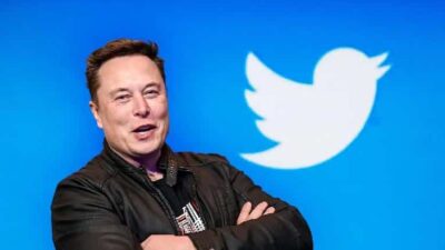 Elon Musk - Twitter bird (Getty)