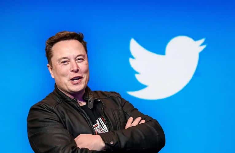 Elon Musk - Twitter bird (Getty)