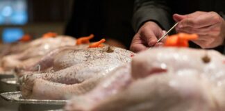 Thanksgivings Day Turkeys (Joshua Yospyn-The Washington Post-Getty Images)