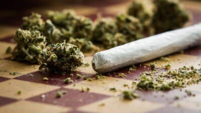 Marijuana & rolled joint (Adobe Stock)