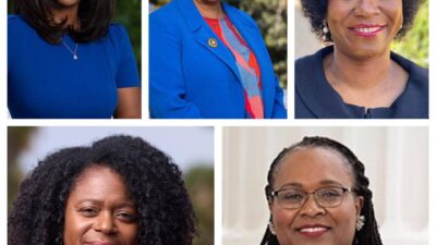 Asm.Dr. Akilah Weber (D- San Diego), Asm. Mia Bonta (D- Oakland) Asm. Tina Mickinnor ( D-Los Angeles) Senator Lola Smallwood Cuevas (D-Los Angeles) Asm. Lori Wilson ( D- Solano)