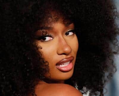 Megan Thee Stallion (Danny Moloshok-Reuters)