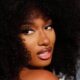 Megan Thee Stallion (Danny Moloshok-Reuters)