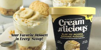 Creamalicious Ice Creams - banana pudding