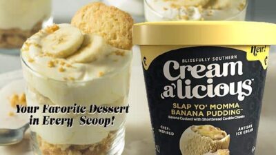 Creamalicious Ice Creams - banana pudding