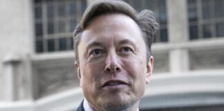 Elon Musk (Marlena Sloss-Bloomberg-Getty Images)