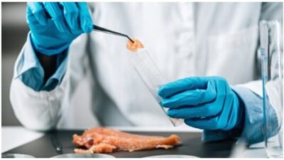 Raw Chicken