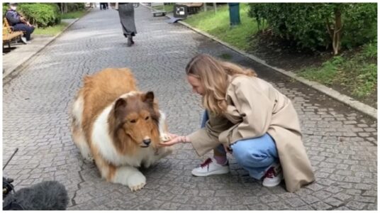 'I Want to Be an Animal: Man Spends $14 to Transform into Dog | Watch