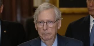 Mitch McConnell freezes while making comments - screenshot