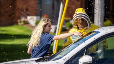 Bees Escape in Canada (Carlos Osorio-The Canadian Press-AP)