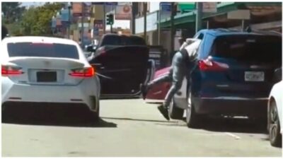 smashing and grabbing from parked cars in broad daylight