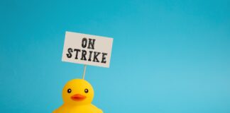 California State University Faculty Vote to Authorize Strike