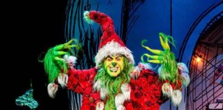 How The Grinch Stole Christmas ! The Musical