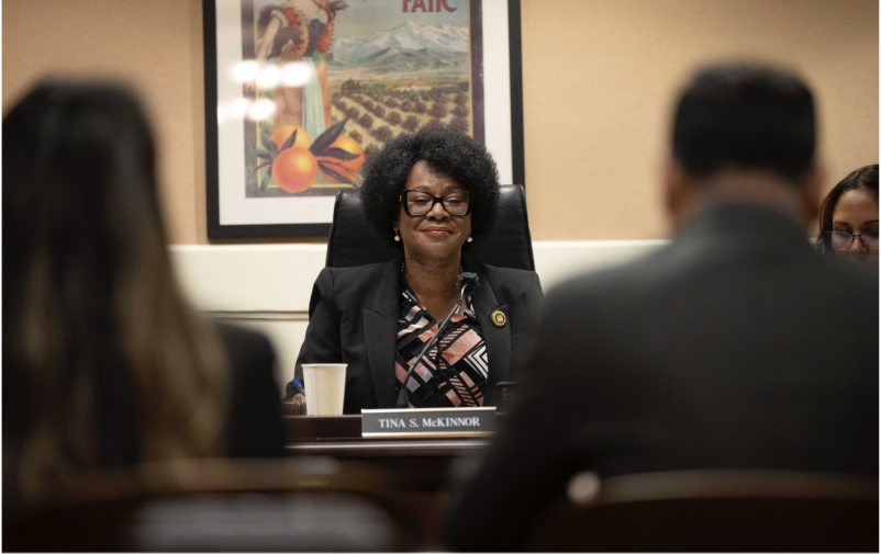 Asm. Tina Mckinnor Elected Chair of L.A. Delegation to Legislature
