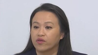 Sheng Thao - screenshot