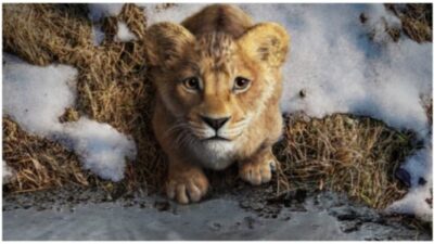 Mufasa: The Lion King poster