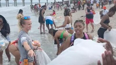 Tybee Island (Black Student Spring Break) - screenshot