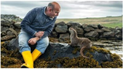 BILLY & MOLLY: AN OTTER LOVE STORY