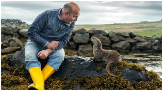 Inside the Heartfelt Tale of 'Billy & Molly: An Otter Love Story' - Vimarsana News