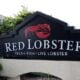 Red Lobster (Getty Images via CNN Newsource)