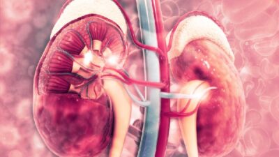 Kidneys - Depositphotos