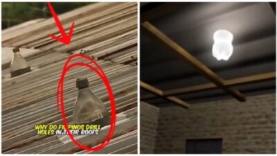 Solar Light Bulbs