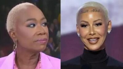 Joy Reid - Amber Rose (MSNBC-Getty)