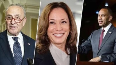 Schumer Harris Jeffries - screenshot