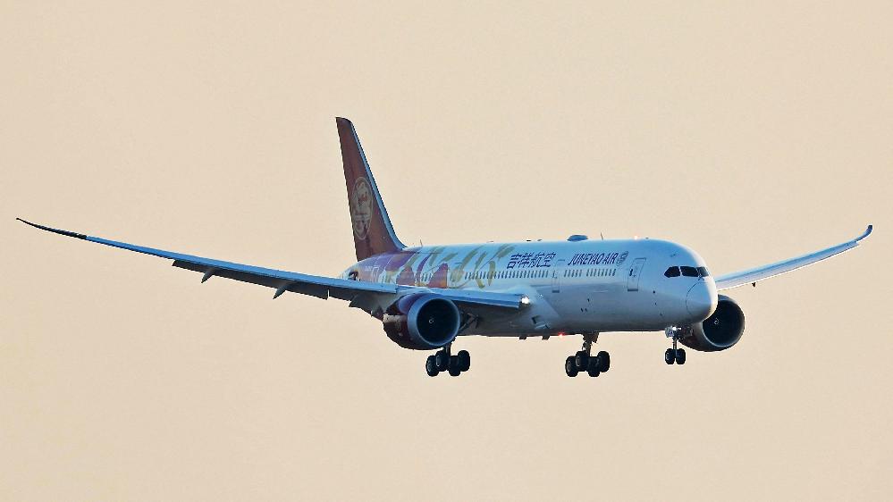 Passengers lock crying grandchild in plane toilet // Juneayo airlines (AFP-Getty Images-File via CNN Newsource)