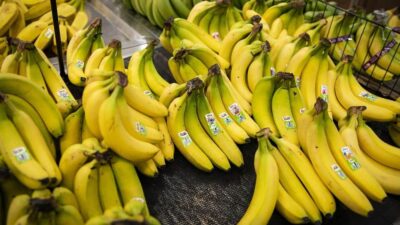 Bananas (Al Drago-Bloomberg-Getty Images-File via CNN Newsource)