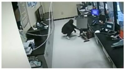 Video shows robbers in Atlanta falling through ceiling of cash-checking business