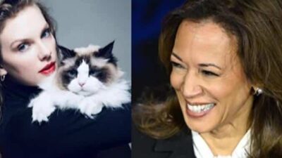 Taylor Swift & cat - Kamala Harris (Instagram-screenshot)