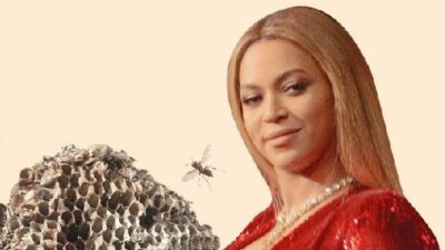 Beyonce and the BeyHive - Getty