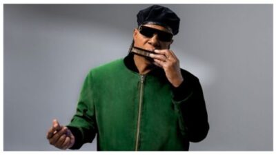 STEVIE WONDER