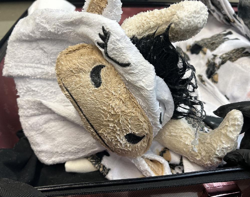 Worst-Behaved Travelers of 2024: Unforgettable Incidents // Australia LAX Drug Pajamas (US Department of Justice-handout-AFP-Getty Images via CNN Newsource) 