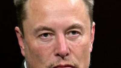 Elon Musk (Getty)