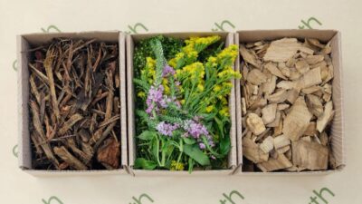 Human Composting (Earth Funeral via CNN Newsource)