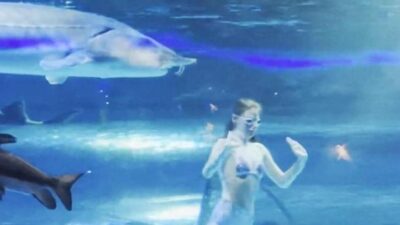 Giant fish attacks mermaid - screenshot
