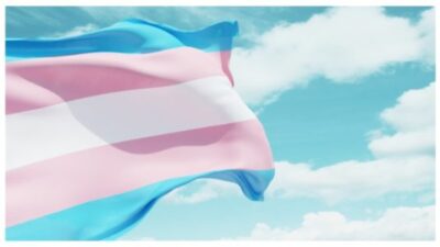 Transgender flag blowing in the wind