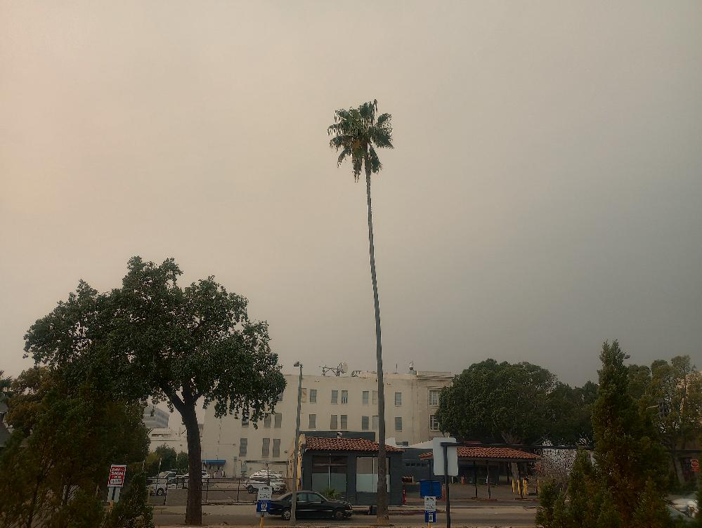 Mark Schoenrock Reflects on Life Amid California Wildfires // Smoke filled sky in Pasadena caused by Eaton Canyon Fire in nearby Altadena - photo by Mark Schoenrock 