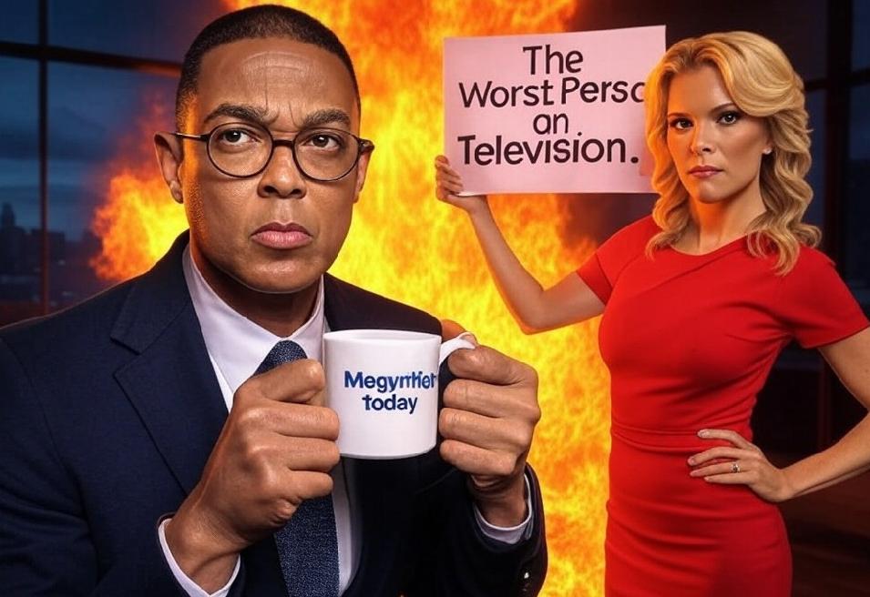 Don Lemon and Megyn Kelly - via Grok AI