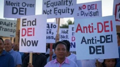 End DEI - via Grok AI