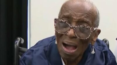 Ethel L. Lee - screenshot