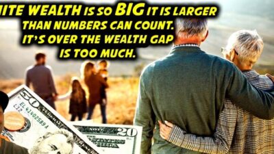 White Wealth is So Big