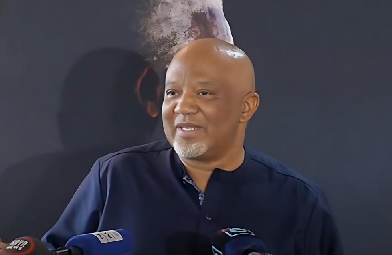 Mcebisi Jonas - screenshot