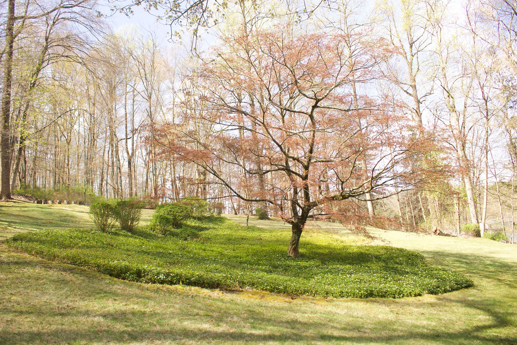 Land for Ossining Community Garden (photo courtesy of ocgdlc.org.)
