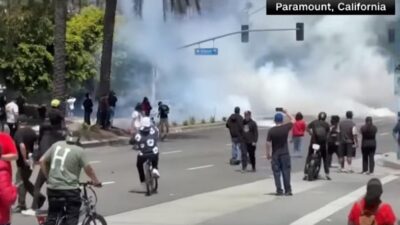 LA Immigration protests - screenshot